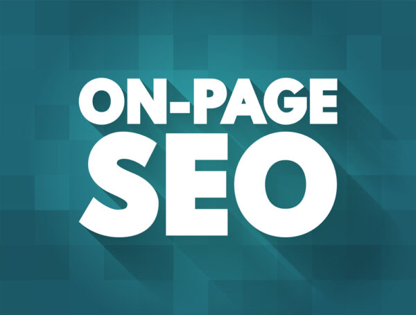 Monthly on Page SEO Service for Google Ranking (Premium PLUS)